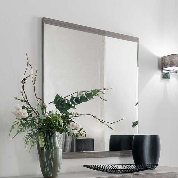 Iris Mirror
