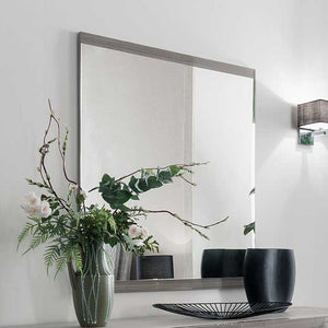 Iris Mirror